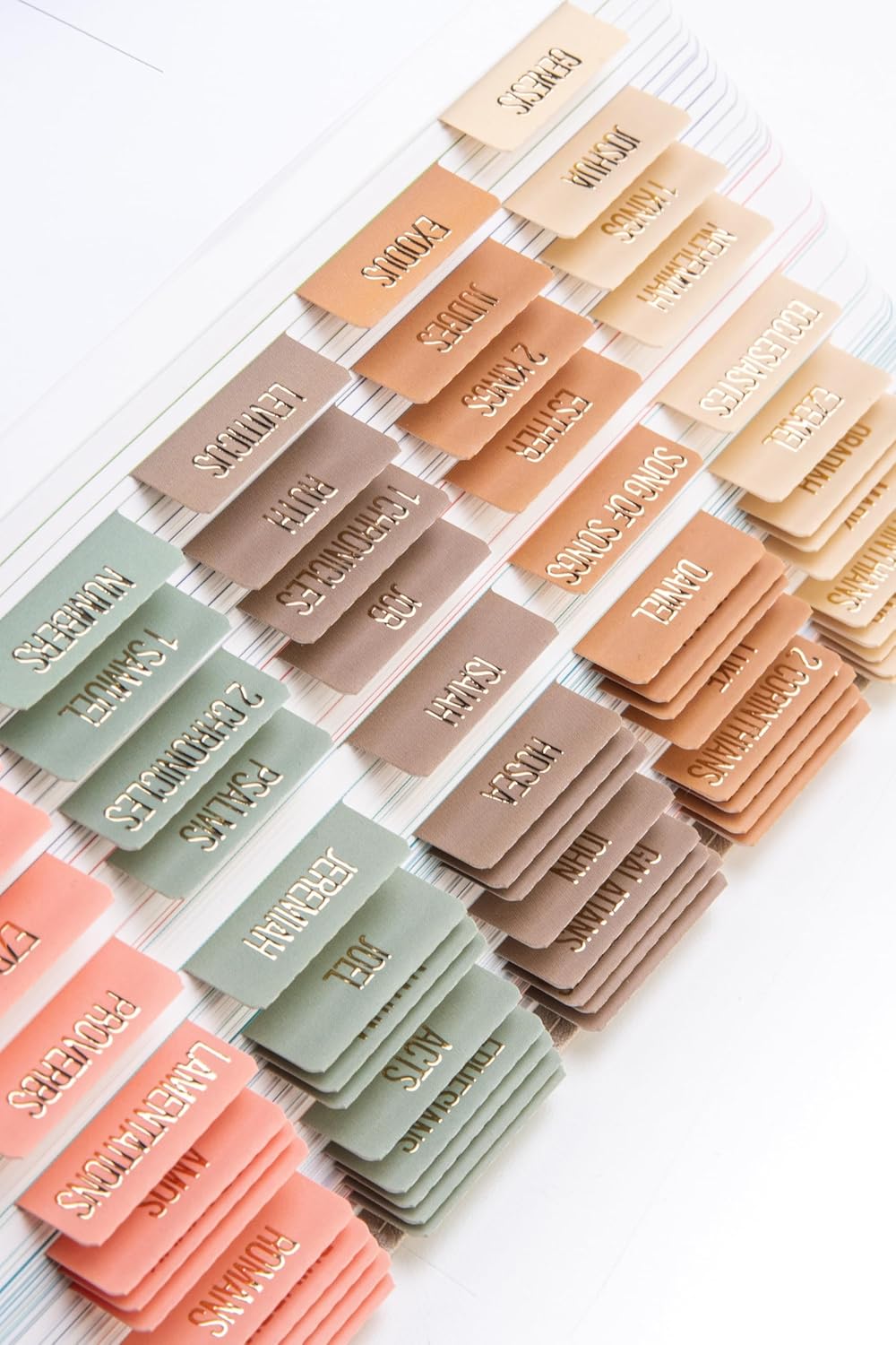 DiverseBee laminated Bible tabs — all 66 books